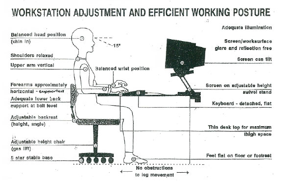 Ergonomics My Physio Co Za